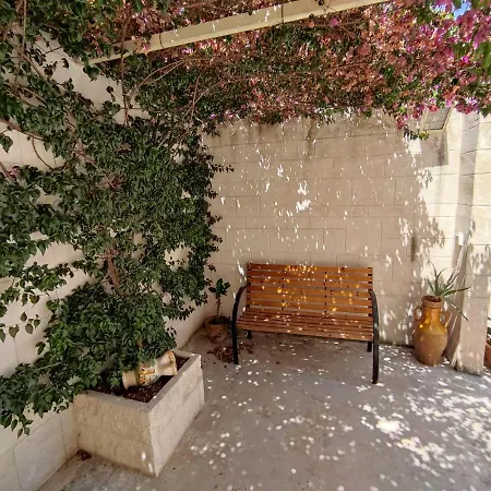 Nonno's Nest Pezze di Greco